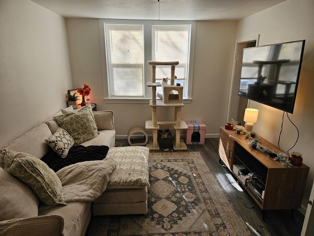 living area with dark wood-type flooring