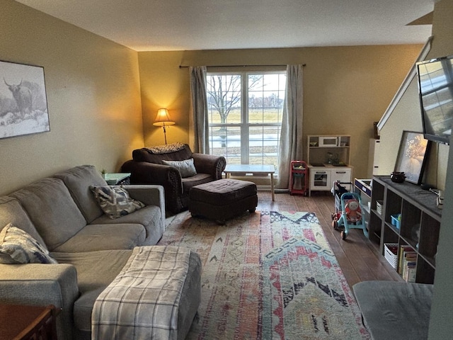 living room with hardwood / wood-style flooring