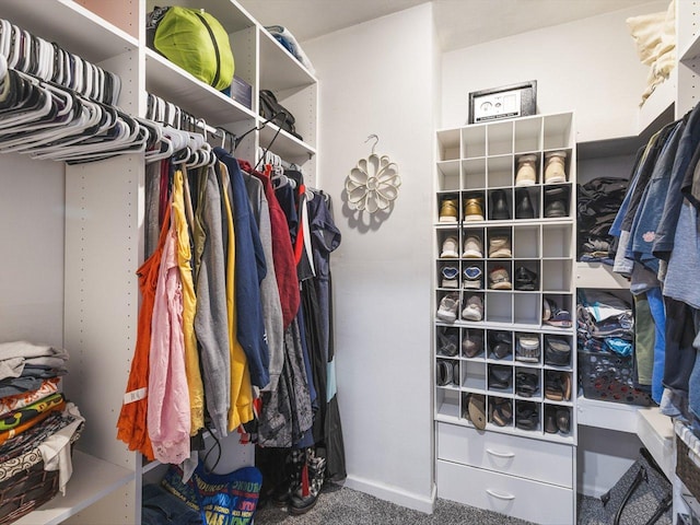 walk in closet featuring carpet floors