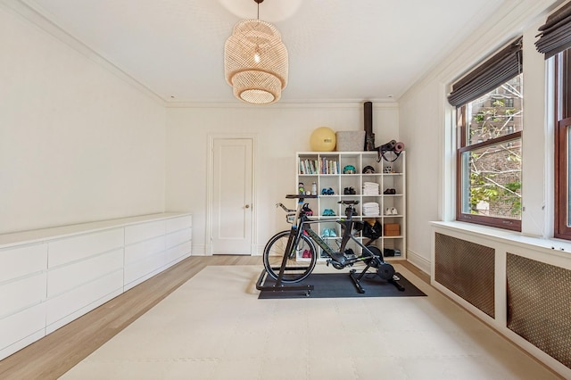 exercise room featuring crown molding and hardwood / wood-style floors