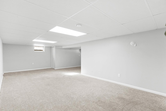 basement with a drop ceiling and carpet flooring