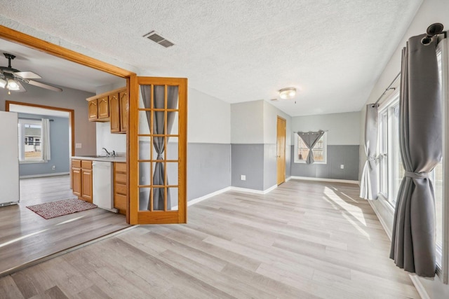 interior space featuring sink, a wealth of natural light, light hardwood / wood-style flooring, and a textured ceiling