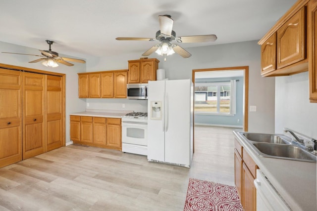 kitchen with sink, white appliances, light hardwood / wood-style flooring, and ceiling fan