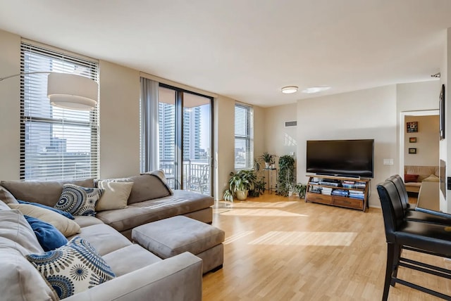 living room featuring light hardwood / wood-style flooring