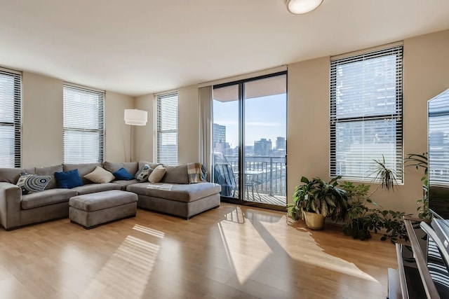 living room with floor to ceiling windows, an AC wall unit, and light wood-type flooring