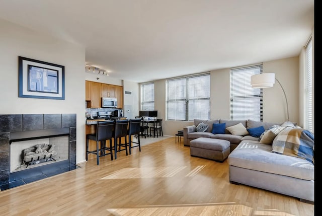 living room featuring rail lighting, a fireplace, and light hardwood / wood-style floors