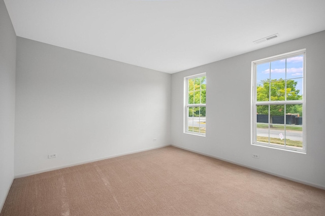 empty room featuring a healthy amount of sunlight and carpet flooring