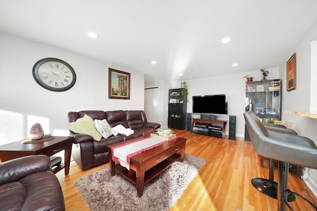 living room featuring hardwood / wood-style floors