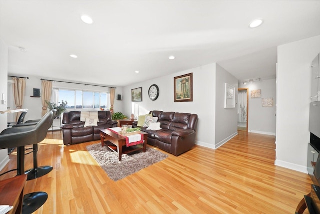 living room featuring light hardwood / wood-style flooring