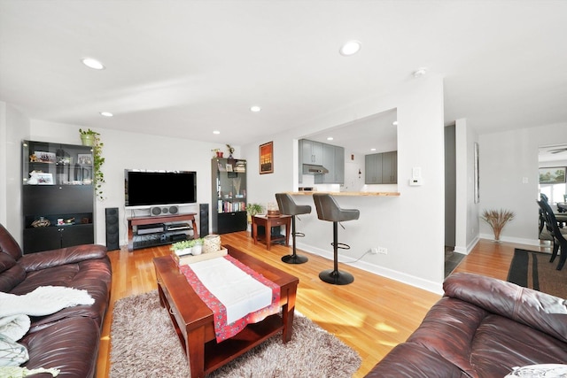 living room featuring hardwood / wood-style flooring