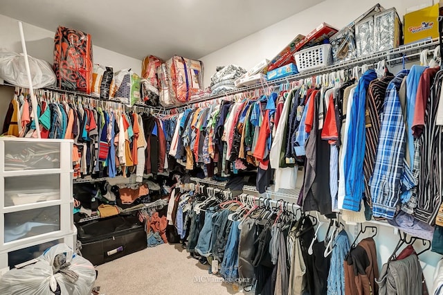 spacious closet with carpet flooring