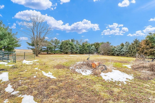 view of yard with a rural view