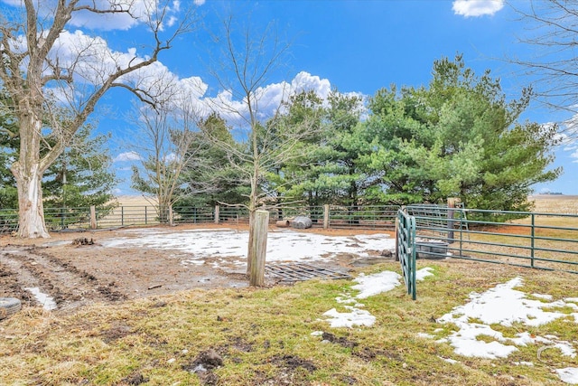 view of yard with a rural view