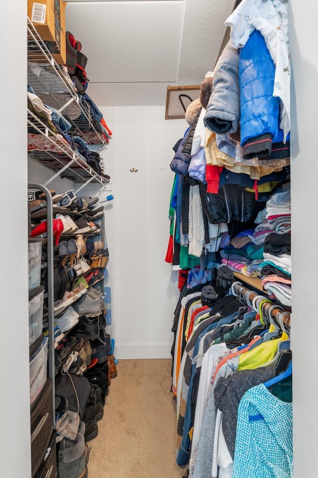 walk in closet featuring carpet floors