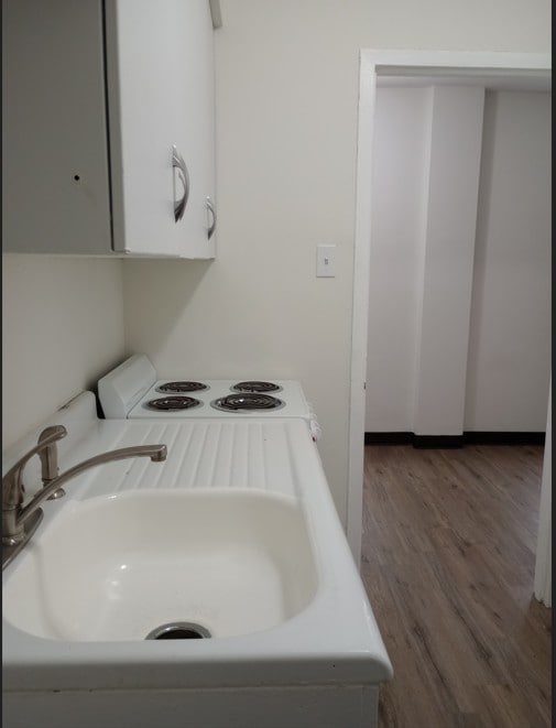 bathroom featuring wood-type flooring and sink