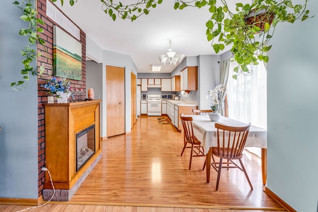 dining area with sink and light hardwood / wood-style flooring