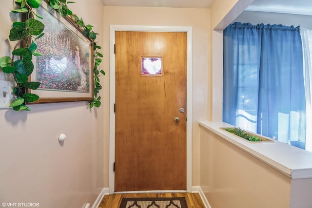 entryway featuring wood-type flooring