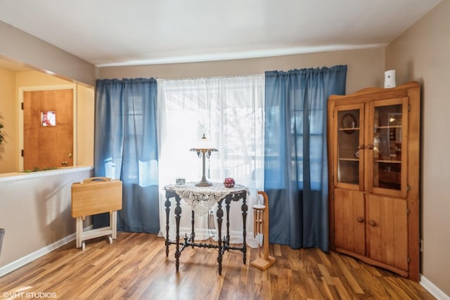 sitting room featuring hardwood / wood-style flooring