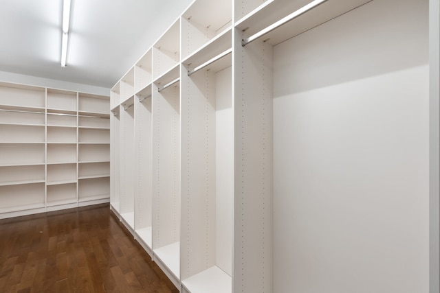 walk in closet with dark wood-style flooring