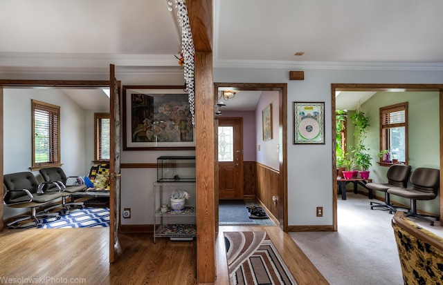 entrance foyer with crown molding and hardwood / wood-style flooring