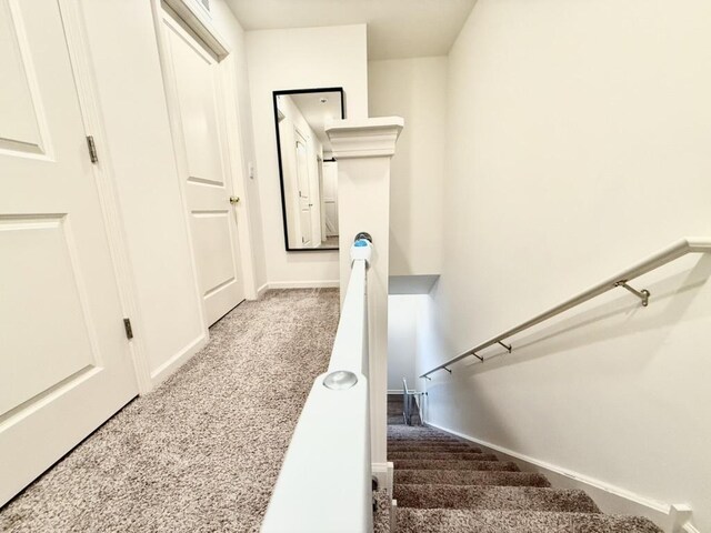 hallway with carpet flooring