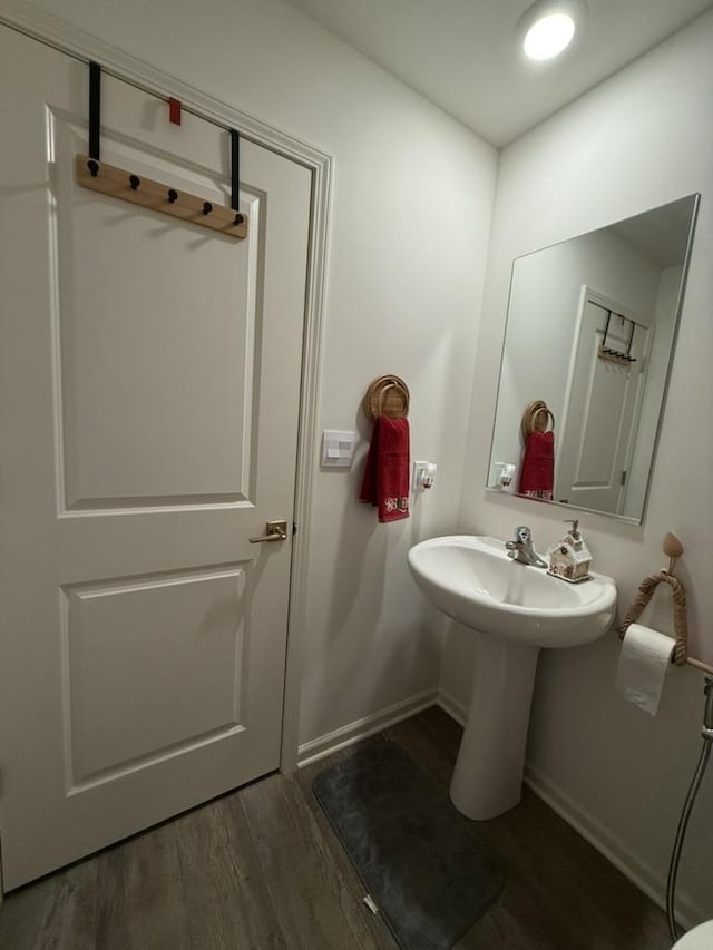 bathroom with sink and wood-type flooring