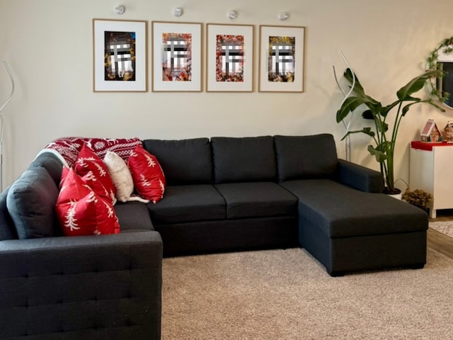 living room with carpet floors