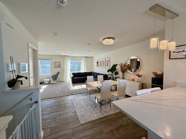 kitchen featuring backsplash, appliances with stainless steel finishes, dark hardwood / wood-style flooring, and white cabinets