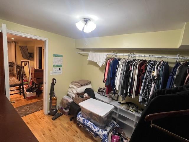 spacious closet with wood-type flooring