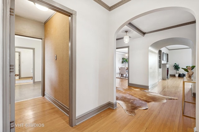 hallway featuring hardwood / wood-style flooring and crown molding