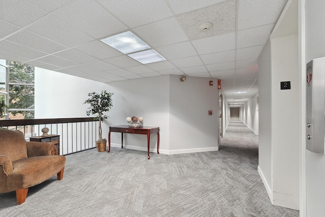 sitting room with light carpet and a drop ceiling