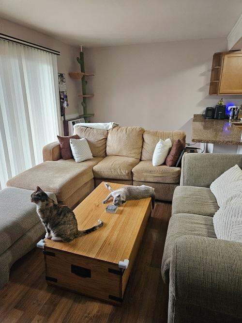 living room featuring dark hardwood / wood-style floors