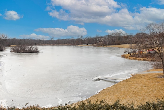 property view of water