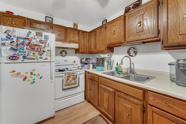 kitchen featuring white appliances, sink, and light hardwood / wood-style flooring