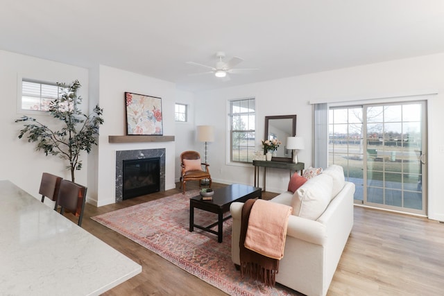 living room with a premium fireplace, a healthy amount of sunlight, and light hardwood / wood-style flooring