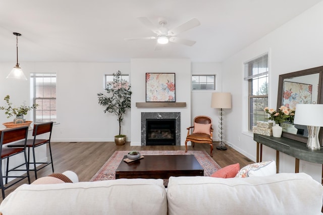 living room with hardwood / wood-style flooring, plenty of natural light, and a high end fireplace