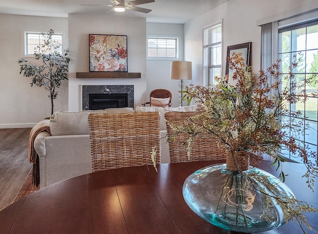 living room featuring ceiling fan, wood-type flooring, and a premium fireplace