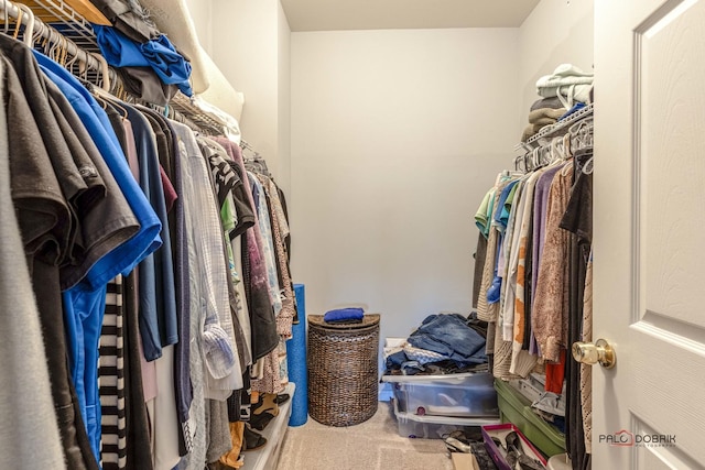 spacious closet with carpet flooring