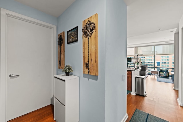 hallway featuring wood-type flooring