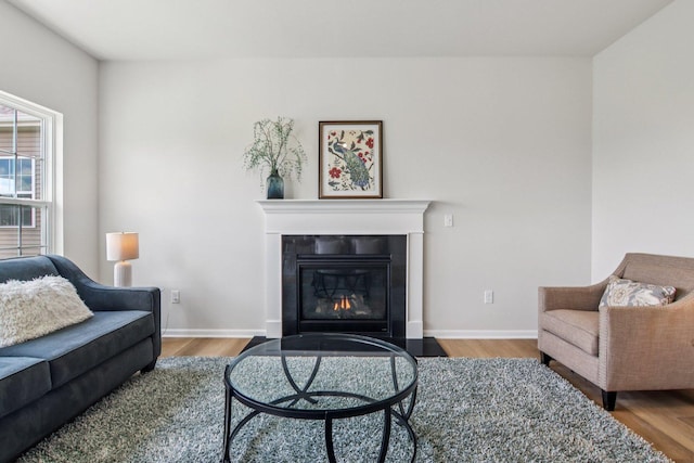 607 Virginia St, Elburn, IL 60119 - living area featuring wood finished floors and a fireplace with flush hearth