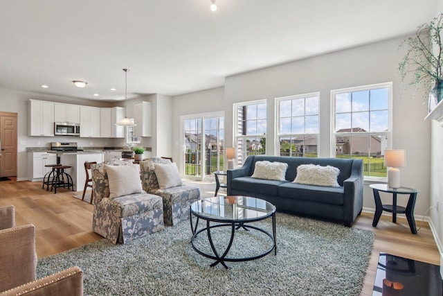 607 Virginia St, Elburn, IL 60119 - living area with light wood finished floors and recessed lighting