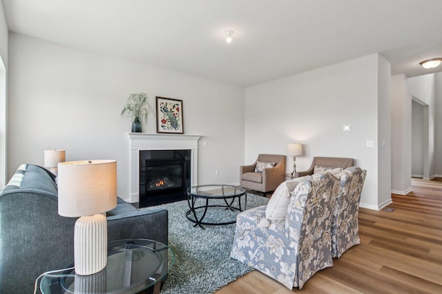 607 Virginia St, Elburn, IL 60119 - living area featuring wood finished floors and a glass covered fireplace