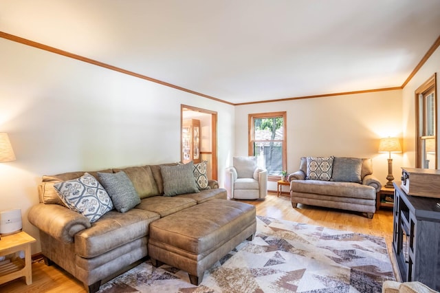 living room with crown molding and light hardwood / wood-style flooring