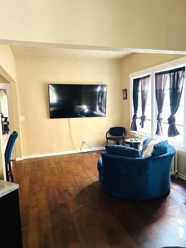 living room featuring dark hardwood / wood-style floors