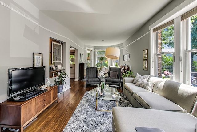 living room with dark hardwood / wood-style flooring