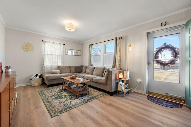 living room with crown molding and light hardwood / wood-style flooring