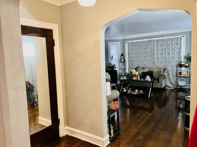 hall featuring hardwood / wood-style flooring and crown molding