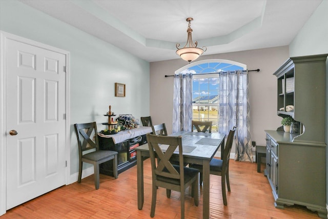 dining room featuring a raised ceiling and light wood-type flooring