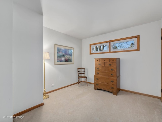 living area with light carpet