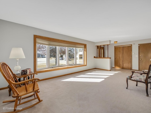 living area featuring light colored carpet